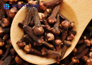 Jual Clove Bud Oil-